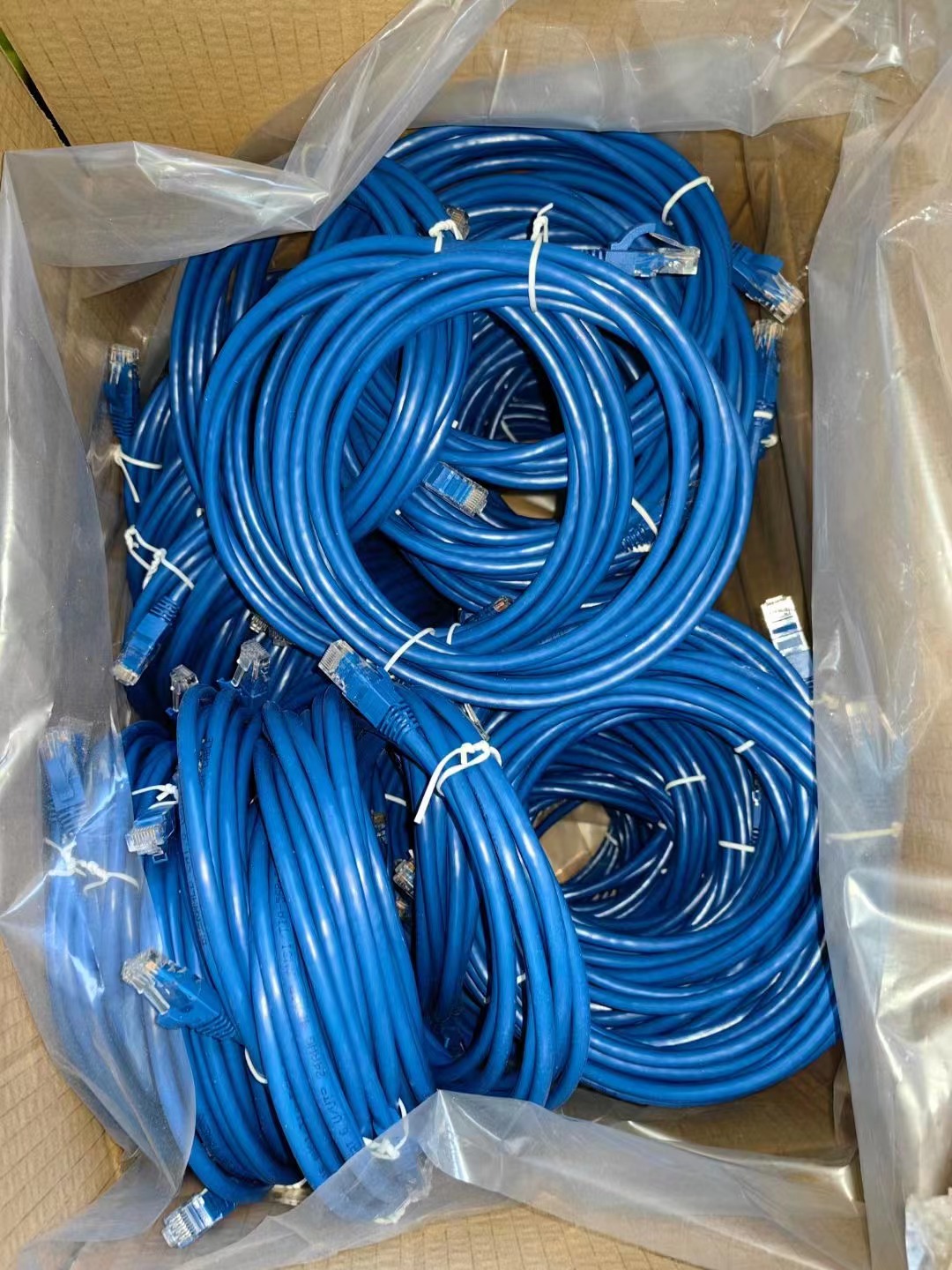 CAT6A F FTP Patch Cord